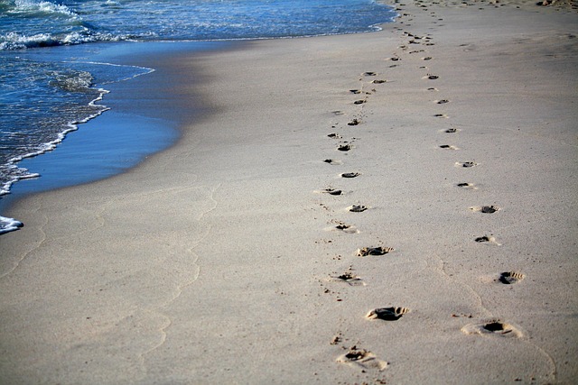 footprints-g6bd66ac68_640