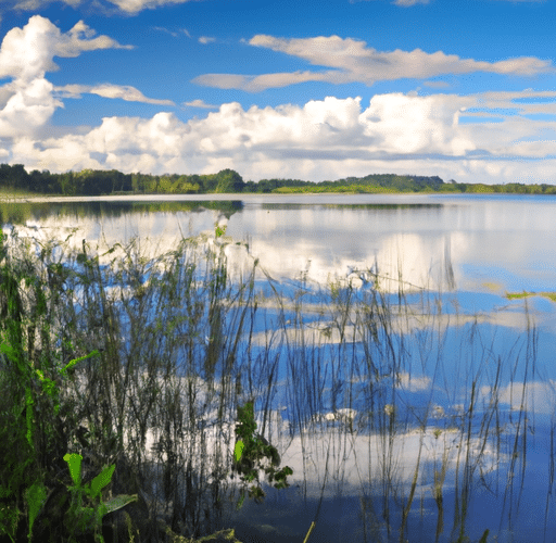 Jezioro Dzierżno Duże: Oaza spokoju i urokliwe miejsce na wypoczynek