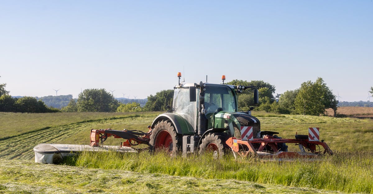 Rolnictwo i przemysł w Polsce: wyniki sprawdzianu z geografii dla klasy 7